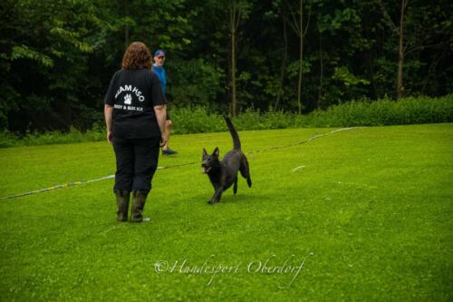 HSO Obedience 25.07.2021-5